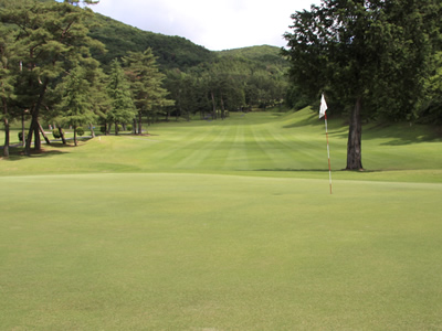 【広島】八千代カントリークラブの口コミ・料金は？27ホールでスループレーも快適！