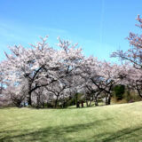 宮島志和カンツリー倶楽部